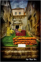/album/fotogaleria-girona/mg-8855-640x480-jpg/